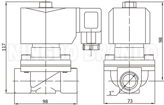 2W250-25 1'' 2 راه به طور معمول بسته آب برنج سولناید شیر 24V 220V