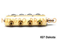 RAIL Type IG7 Dakota Rail Injector Rail 2 Ohm 4 Body Aluminium سیلندر برای LPG CNG