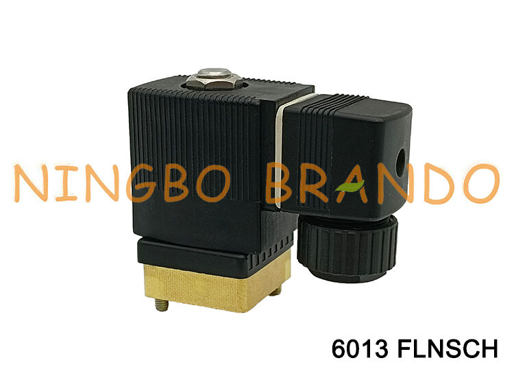 نوع 6013 A 1.5 2.0 3.0 FKM MS FLNSCH شیر برقی مستقیم اثر